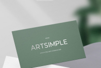 Artsimple винил