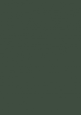 BRIT27005/1 Обои Loymina Шервуд 1x10,05