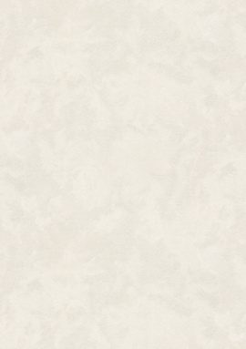 38460-1 Обои As Creation Accent 1,06x10.05