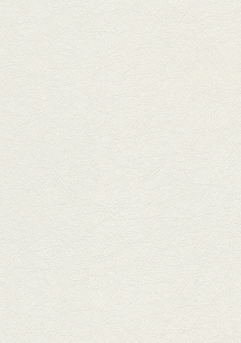 79042-2 Обои As Creation Urban Flowers 1.06x10.05