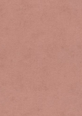 408157 Обои Rasch Kimono 0.53x10.05