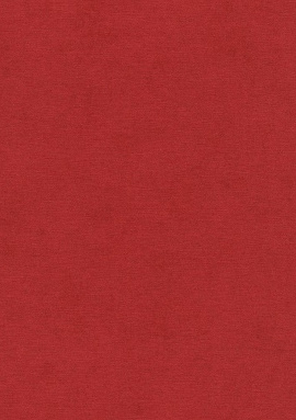 408195 Обои Rasch Kimono 0.53x10.05