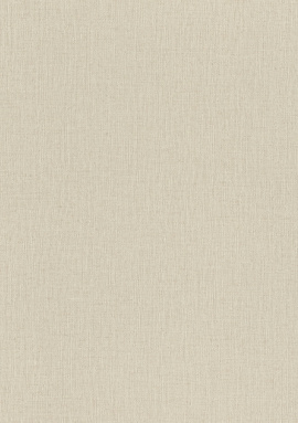 975543 Обои Rasch Trend 1.06x10.05