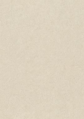 947465 Обои Rasch Trend 1.06x10.05