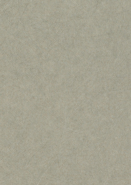 947410 Обои Rasch Trend 1.06x10.05
