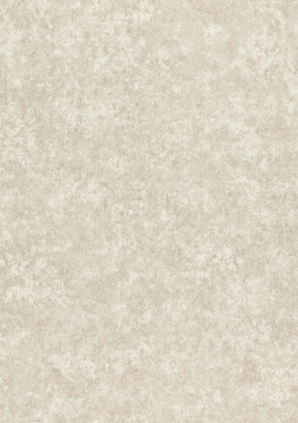 974621 Обои Rasch Trend 1.06x10.05