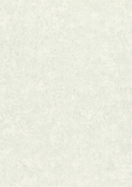 974614 Обои Rasch Trend 1.06x10.05