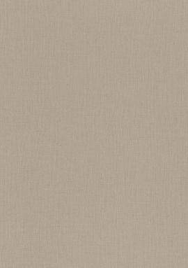 975567 Обои Rasch Trend 1.06x10.05