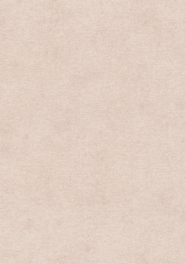408140 Обои Rasch Natural Colors 0.53x10.05