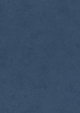 408232 Обои Rasch Natural Colors 0.53x10.05