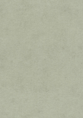 408171 Обои Rasch Natural Colors 0.53x10.05