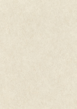 957334 Обои Rasch Wall Textures Xl III 1.06x10.05