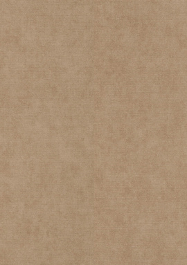 ER12232-30 Обои Erismann Elysium Secrets 1.06x10.05